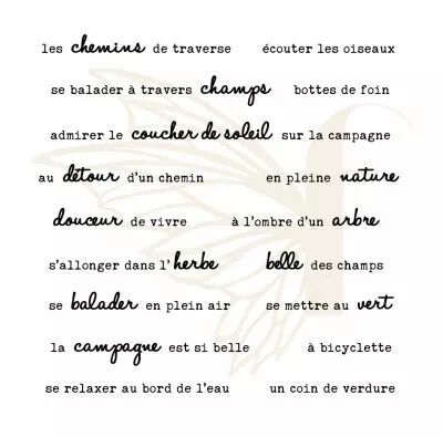 TAMPONS TRANSPARENTS PHRASES CAMPAGNE