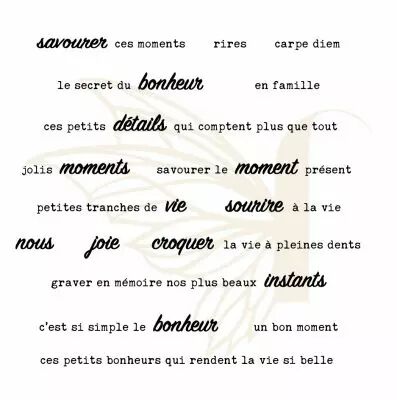 TAMPONS TRANSPARENTS PHRASES LES ESSENTIELS