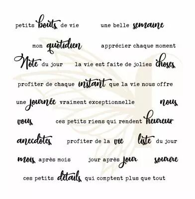 TAMPONS TRANSPARENTS PHRASES QUOTIDIEN