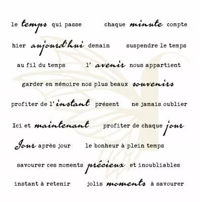 TAMPONS TRANSPARENTS PHRASES TEMPS