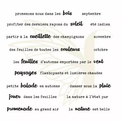 TAMPONS TRANSPARENTS PHRASES UN AIR AUTOMNAL