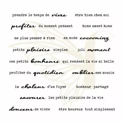 TAMPONS TRANSPARENTS PHRASES UN AIR CHALEUREUX