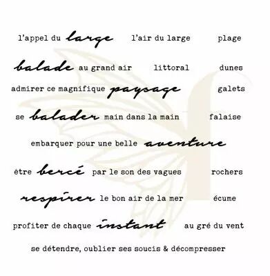TAMPONS TRANSPARENTS PHRASES UN AIR MARIN