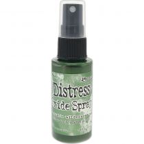 Tim Holtz Distress Oxide Spray 1.9fl oz - rustic wilderness