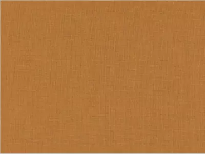 TOILE POUR RELIURE MOUTARDE