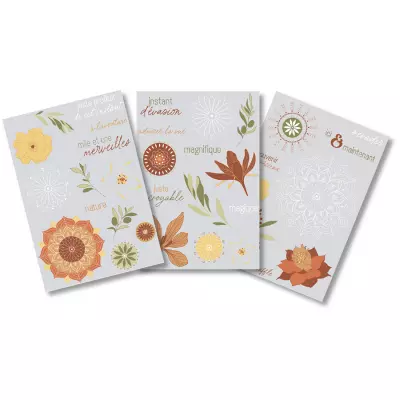 Transferts M�dina - HA PI Little Fox