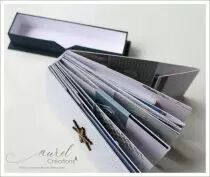 TUTORIEL ALBUM \ UN AIR GLACIAL\  PAR AUREL